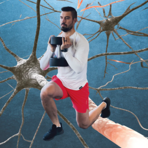 The Role of the Central Nervous System in Strength Get Heath Fit