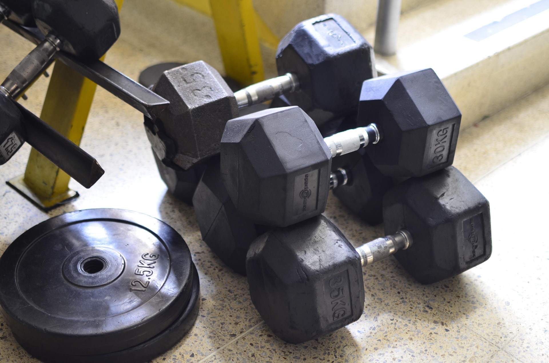 training gym echo park