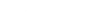 the tennessean
